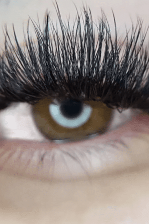3D-to-20D-Pre-made-Fan-Lash-Extensions-Wispy-lashes-HM033-1