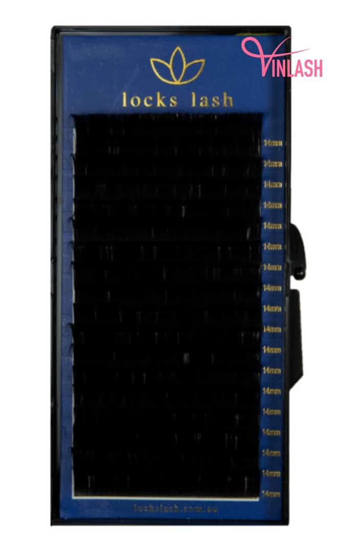Locks Lash is a pioneering force in the lash industry since its establishment in 2010