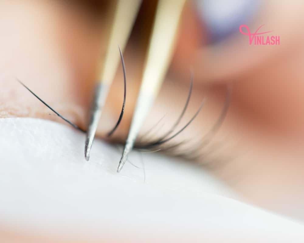 a-comprehensive-guide-to-discover-the-best-lash-supplies-for-your-lash-business-5