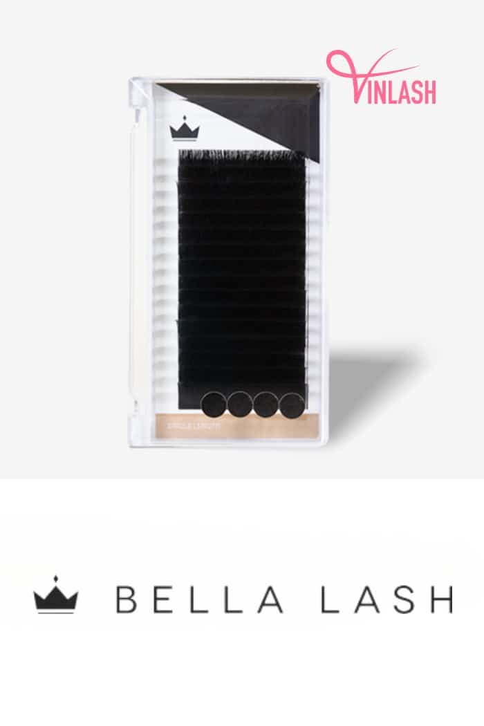 Bella Lash, founded in 2011 by Zach and Haley, emerged from their dissatisfaction with the quality of professional lash products