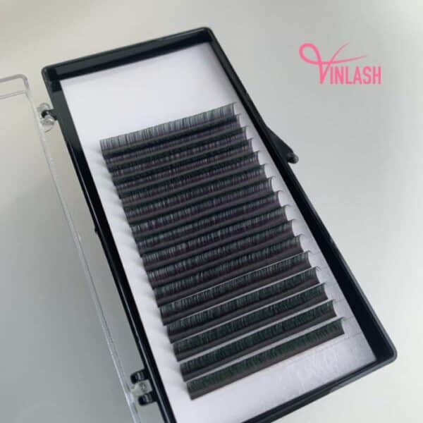 Camellia eyelash extensions two-toned 16 lines VLC009-2