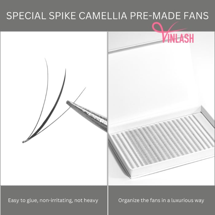Special spike camellia pre-made fans single-color box L 20 lines VLV055-1