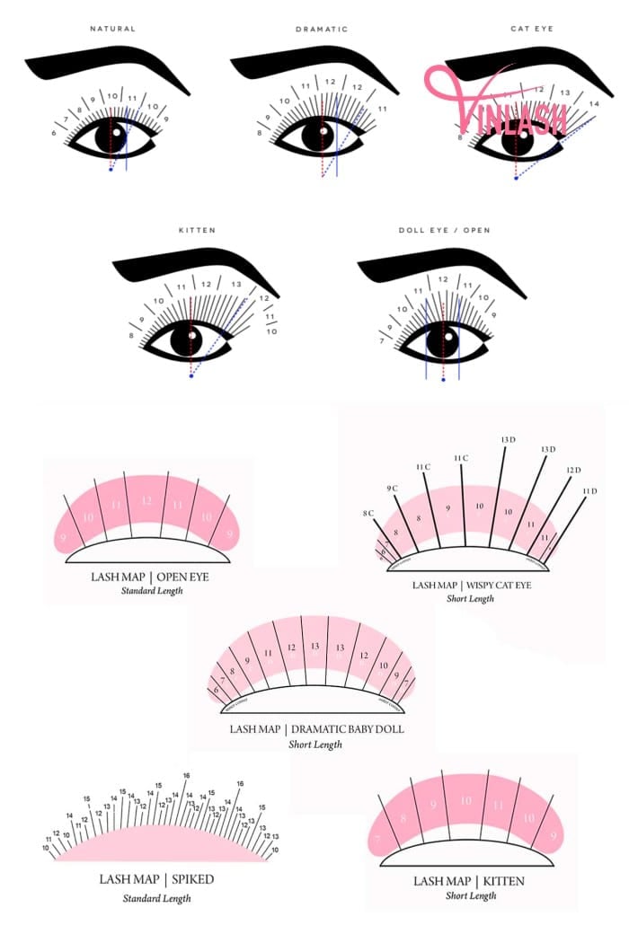 Various Lash Styles Can Be Achieved Through Classic Lash Mapping