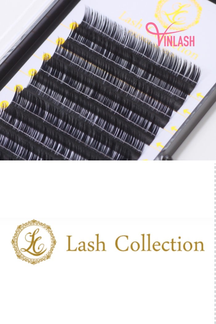 Lash Collection is a reputable lash brand that was founded in 2007 as a lash salon