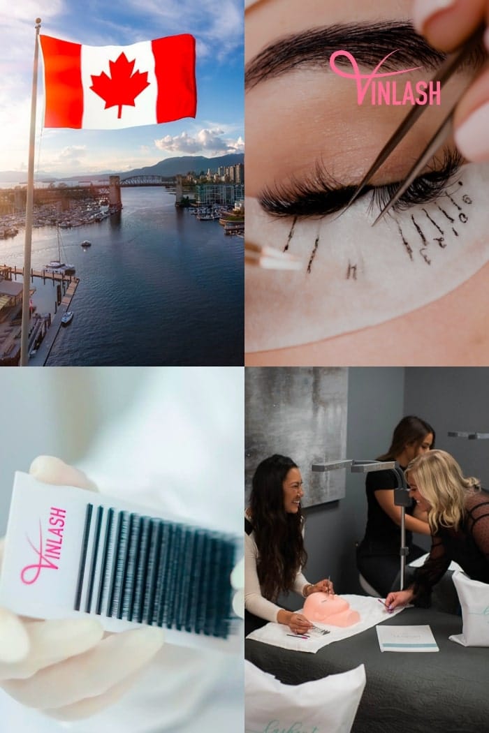 Market overview of eyelash extension suppliers Canada