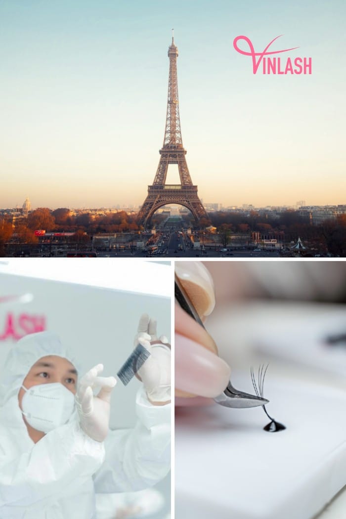 The prominent features of the French eyelash extensions market