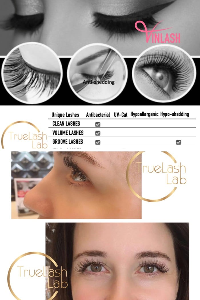 TrueLash Lab, a distinguished name in the realm of eyelash extensions wholesale japan