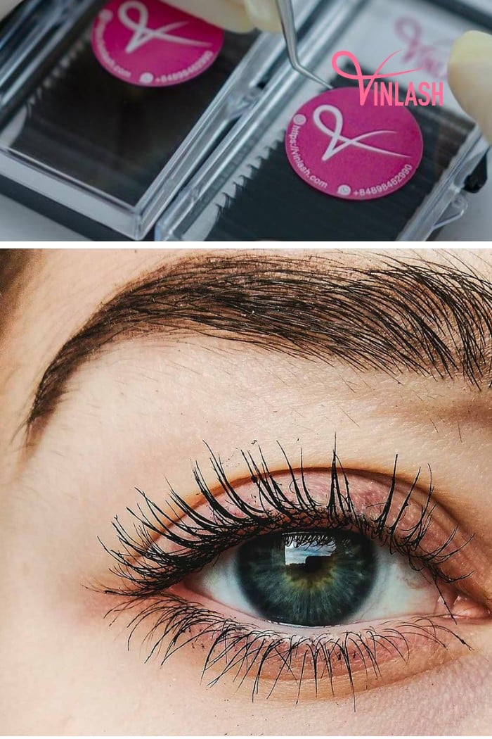 Vinlash, a beacon of reliability in the realm of lash extensions