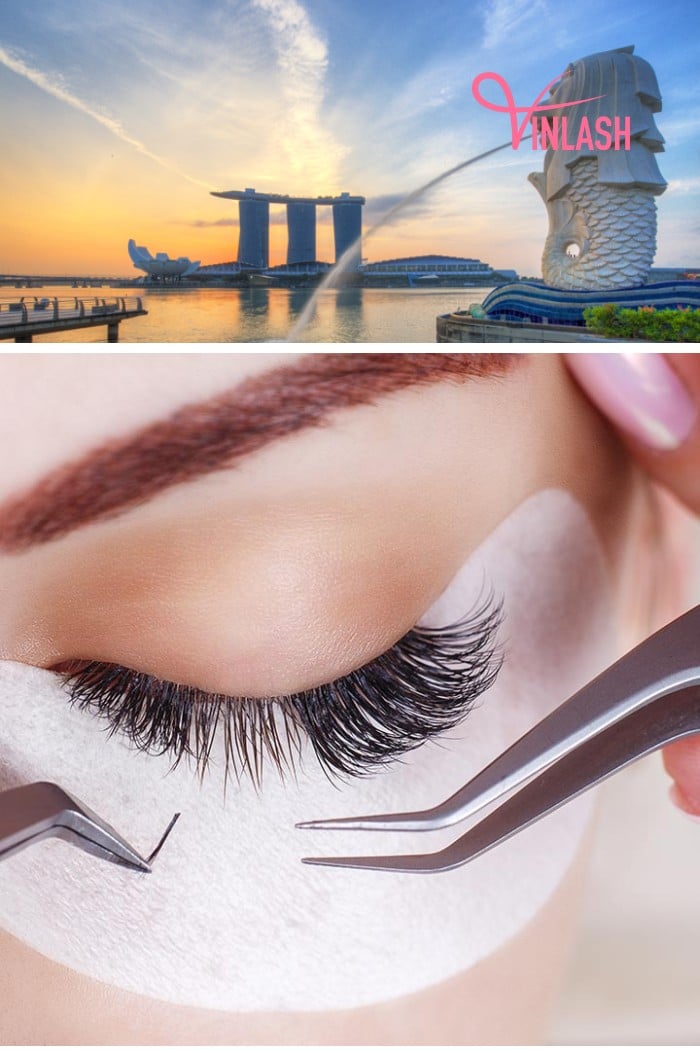 The advantages of buying from a Singaporean eyelash extensions wholesale supplier