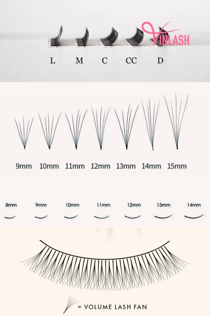 Determine the kind of wholesale 6D lashes you want to purchase