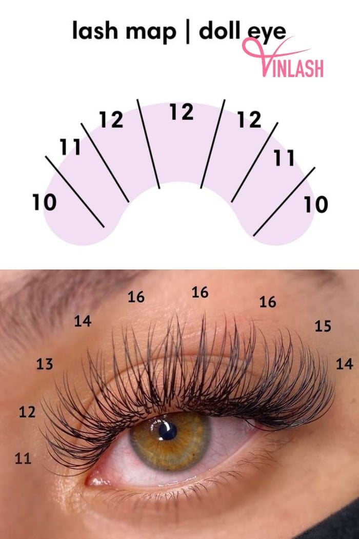 Some basic techniques for doll eye lash map