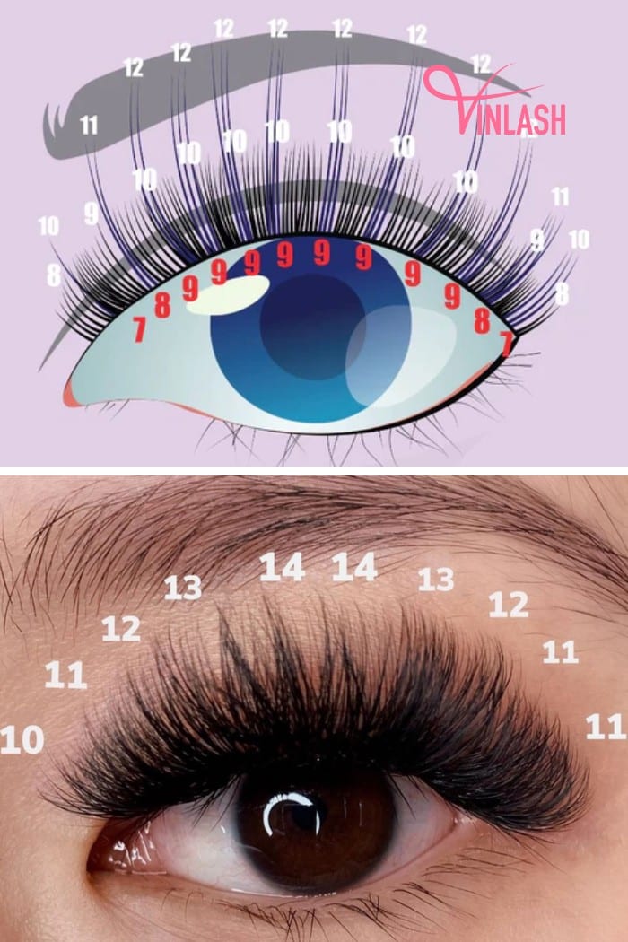 Choosing the right eye shape is that doll eye lash map suitable for