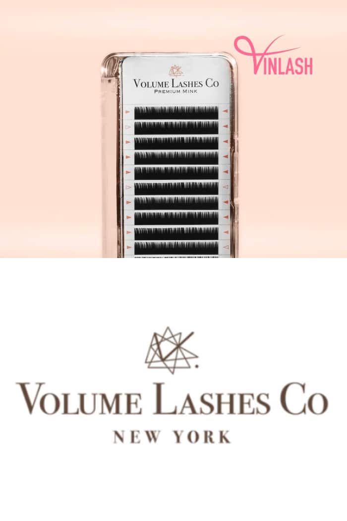 Volume Lashes Co, a name synonymous with volume and expertise