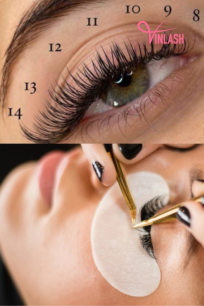 How To Create A Cat Eye Eyelash Extensions Map?