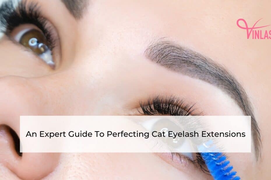 an-expert-guide-to-perfecting-cat-eyelash-extensions