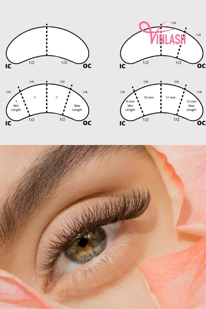 To begin the lash extension mapping process, a meticulous division of the eye into sections is essential for precise and strategic placement