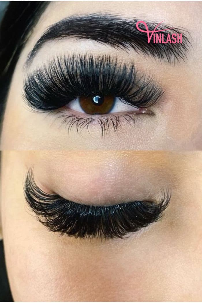 How to apply mega volume lash extensions