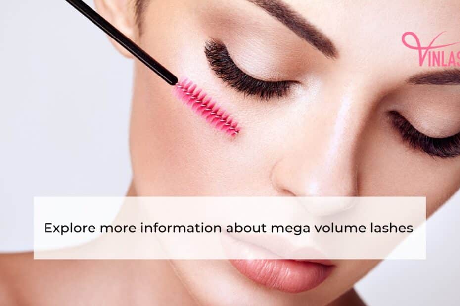 explore-more-information-about-mega-volume-lashes