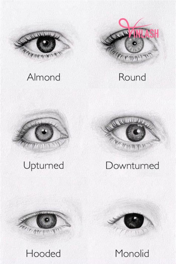 Suitability for Different Eye Shapes