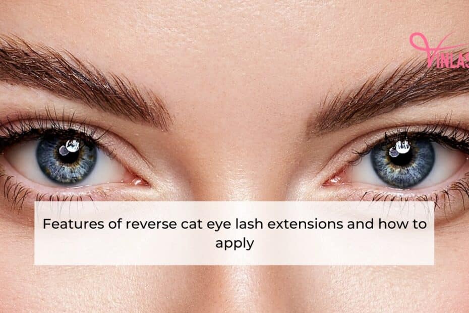 features-of-reverse-cat-eye-lash-extensions-and-how-to-apply