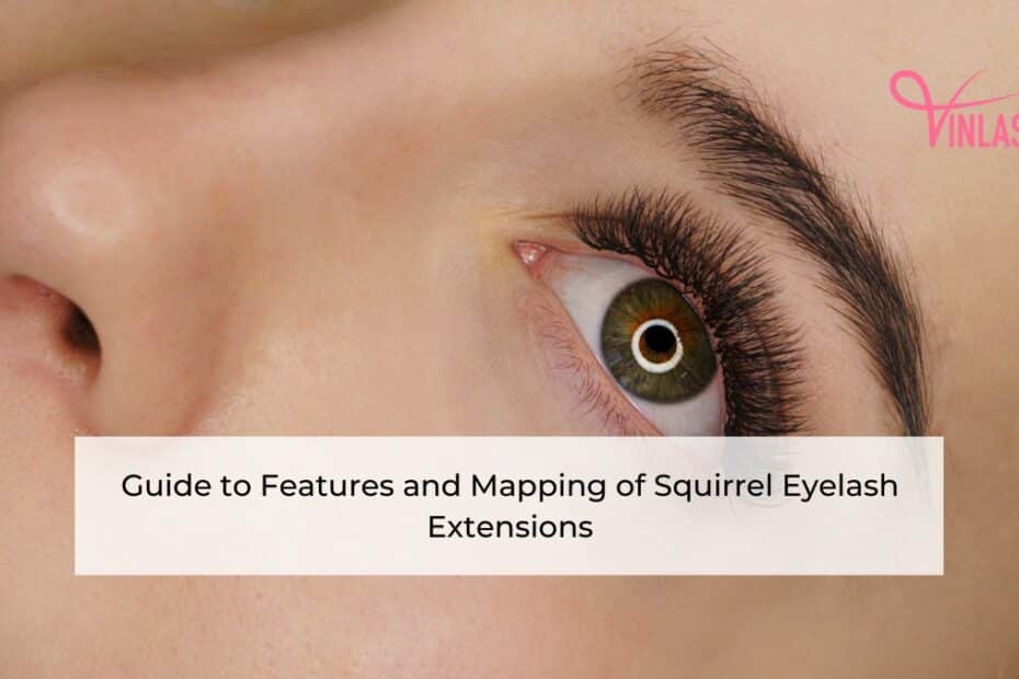 guide-to-features-and-mapping-of-squirrel-eyelash-extensions