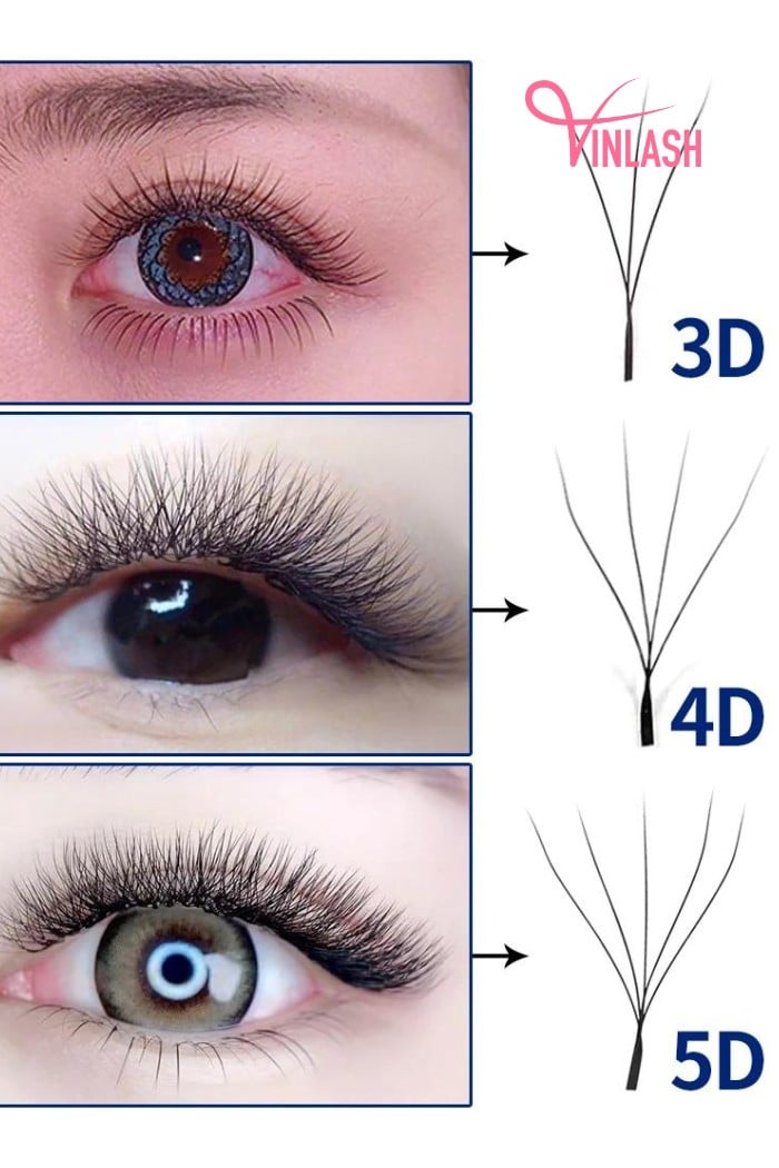 What's the difference between 3D vs 5D lashes?