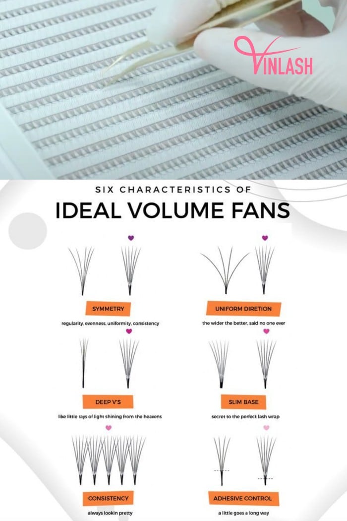 Quality features of the best heat-bonded premade fans box