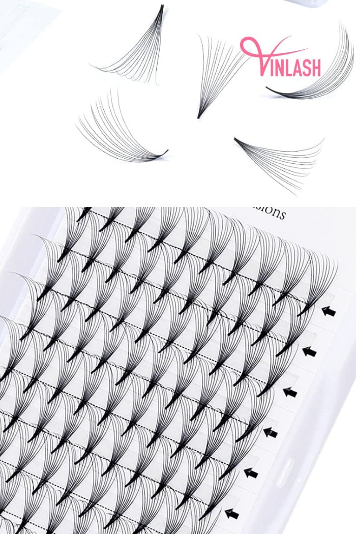 Understanding the Appeal of Premade Lash Fans