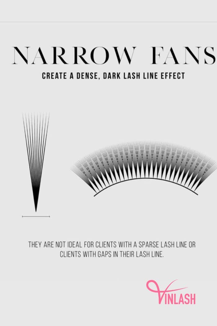 Understanding Narrow Lash Fans