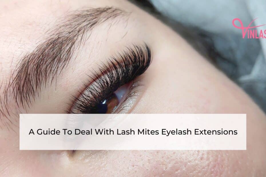 A Guide To Deal With Lash Mites Eyelash Extensions