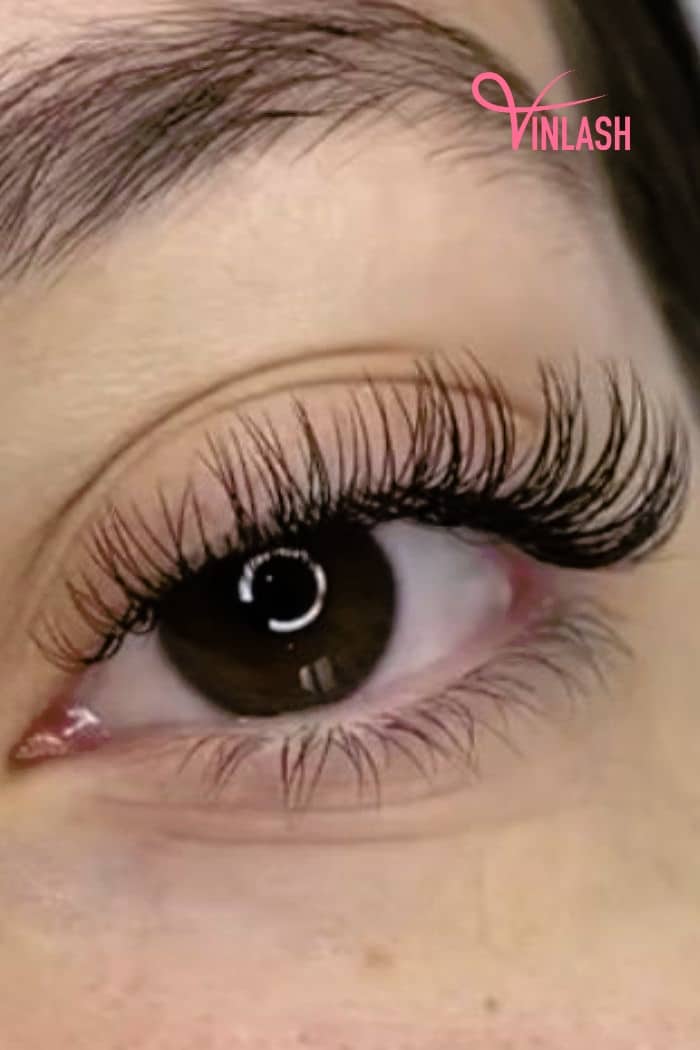 find-suitable-lashes-between-cat-eye-vs-doll-eyelashes-1