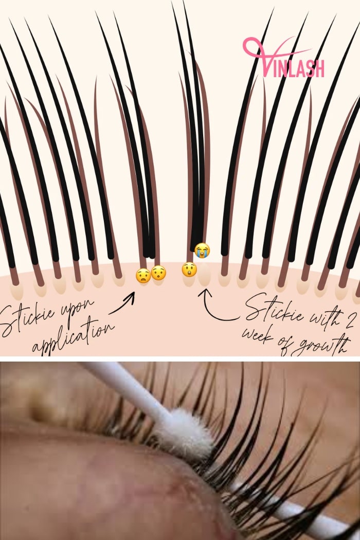 what-are-lash-stickies-and-tips-to-avoid-them-for-lash-tech-3